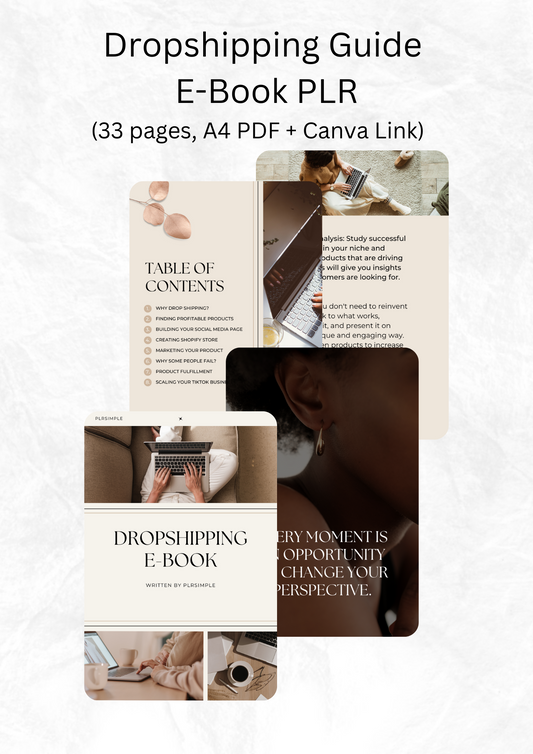 Dropshipping Guide E-Book